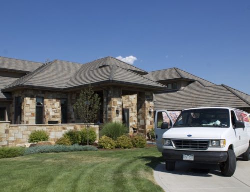 Spring Cleaning? Don’t Forget the Floors